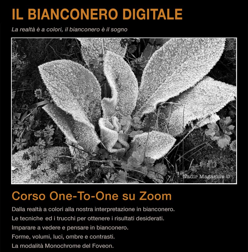 Come ottenere un ottimo bianconero digitale