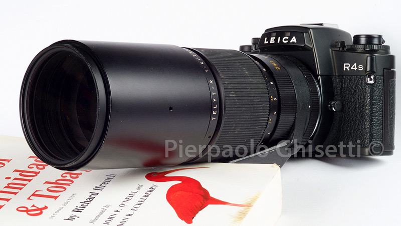 Pierpaolo Ghisetti Leica R 250 F/4