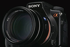 Sony A700 Rino Giardiello