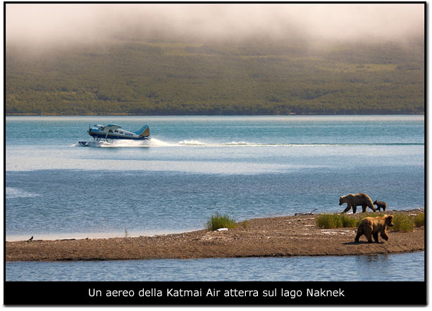 Un aereo della Katmai Air atterra sul lago Naknek