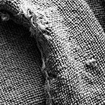 Plants: image 9 0f 10 thumb