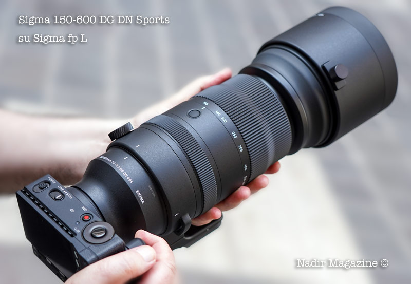 Sigma 150-600 DG DN Sports review