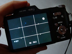 Sony H10