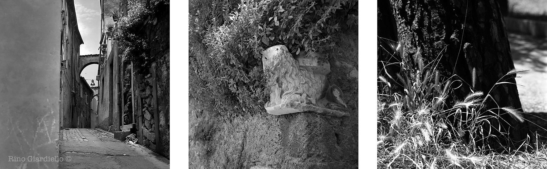 Rino Giardiello © Voigtlander Perkeo